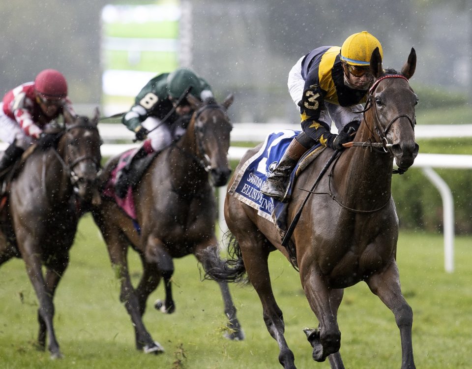 Elusive Princess - Foto Barbara Livingston - Daily Racing Form