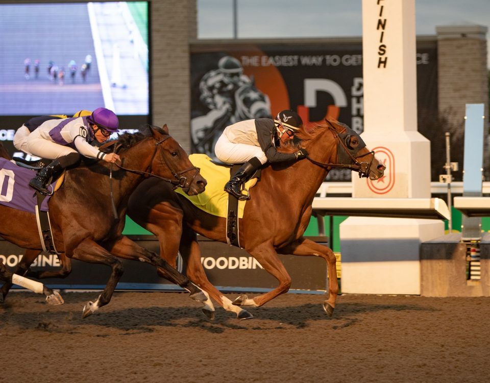 Spun Glass - Julie Wright - Daily Racing Form