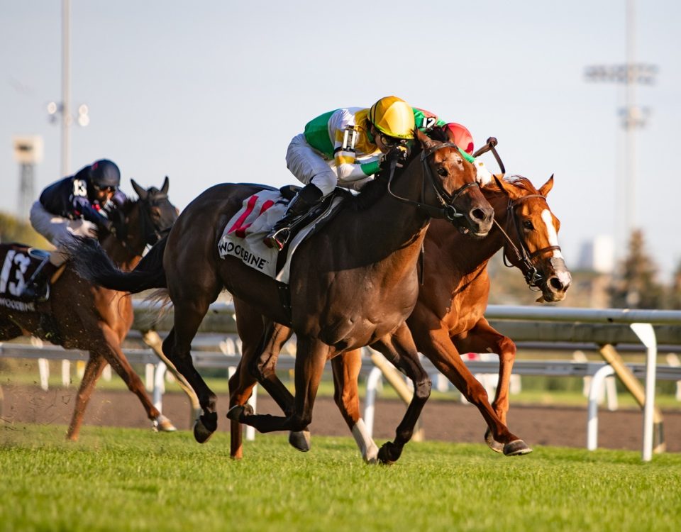 Touch'n Ride - Breeders' S. - Julie Wright