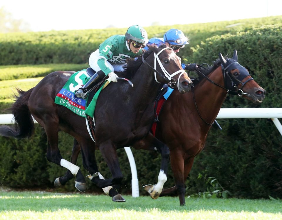 Up to the Mark - Coolmore Turf Mile - Renee Torbit
