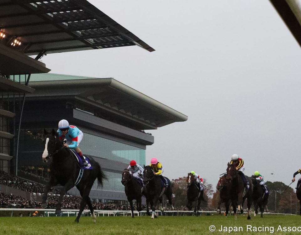 Equinox - Japan Cup - Japan Racing Association