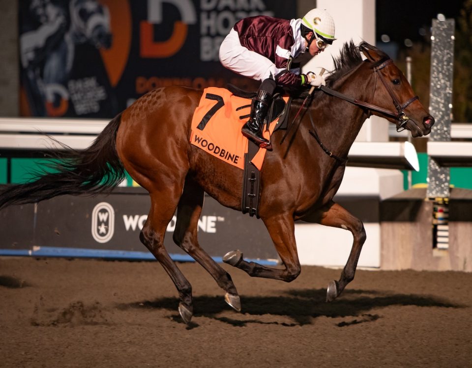 Loyalty - Bessarabian Stakes G2 - Credit: Michael Burns Woodbine