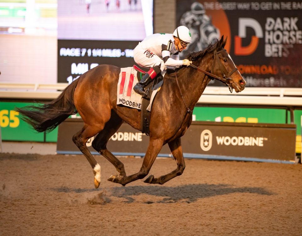 Millie Girl - Maple Leaf Stakes G3 - Credit Michael Burns - Woodbine
