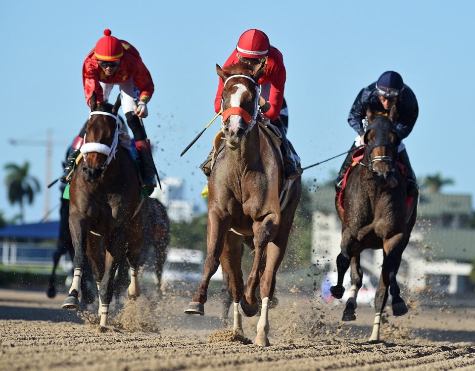 Squints - Juvenile Sprint - Ryan Thompson