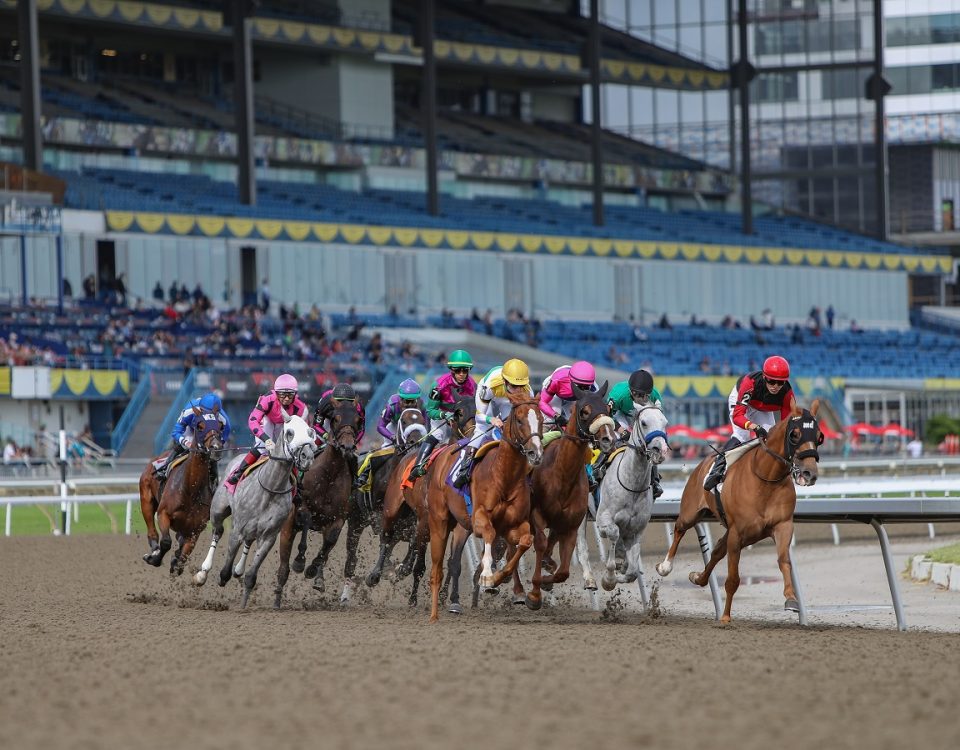 Woodbine - Action - Julie Wright