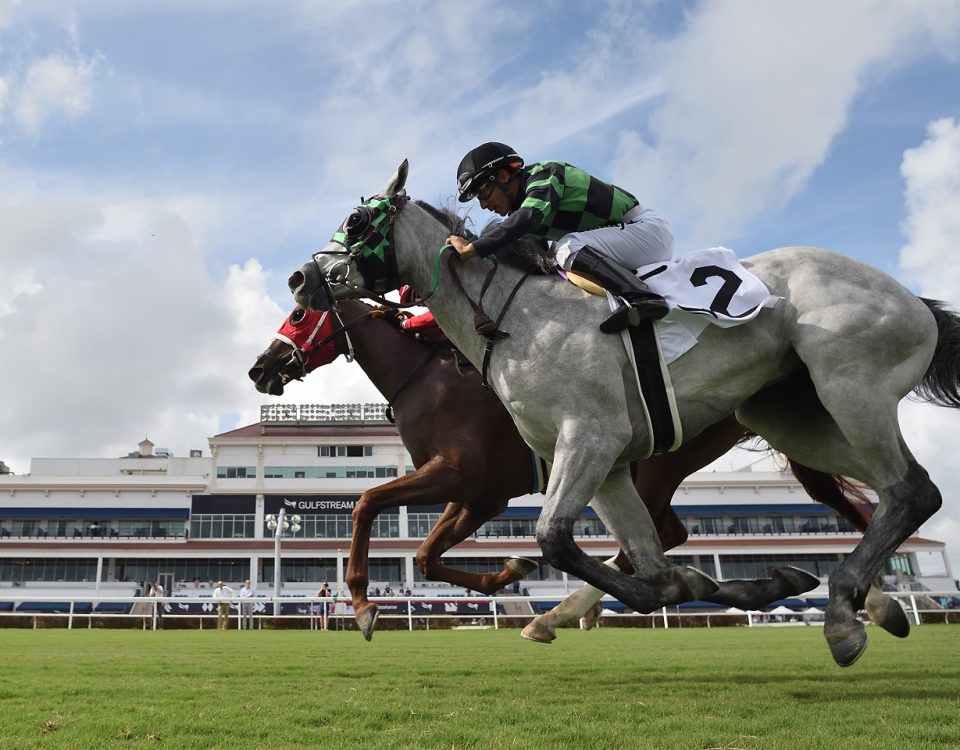 1st turf race credit Ryan Thompson - Coglianese Photo