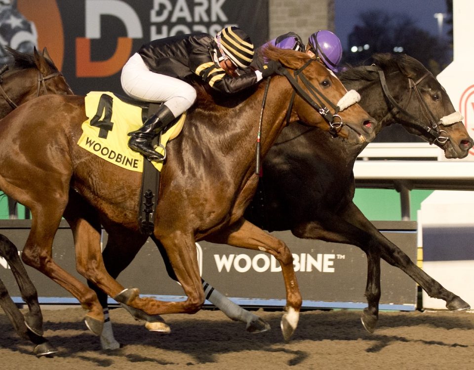 Secret Reserve - Steady Growth Stakes- Michael Burns Photo Woodbine