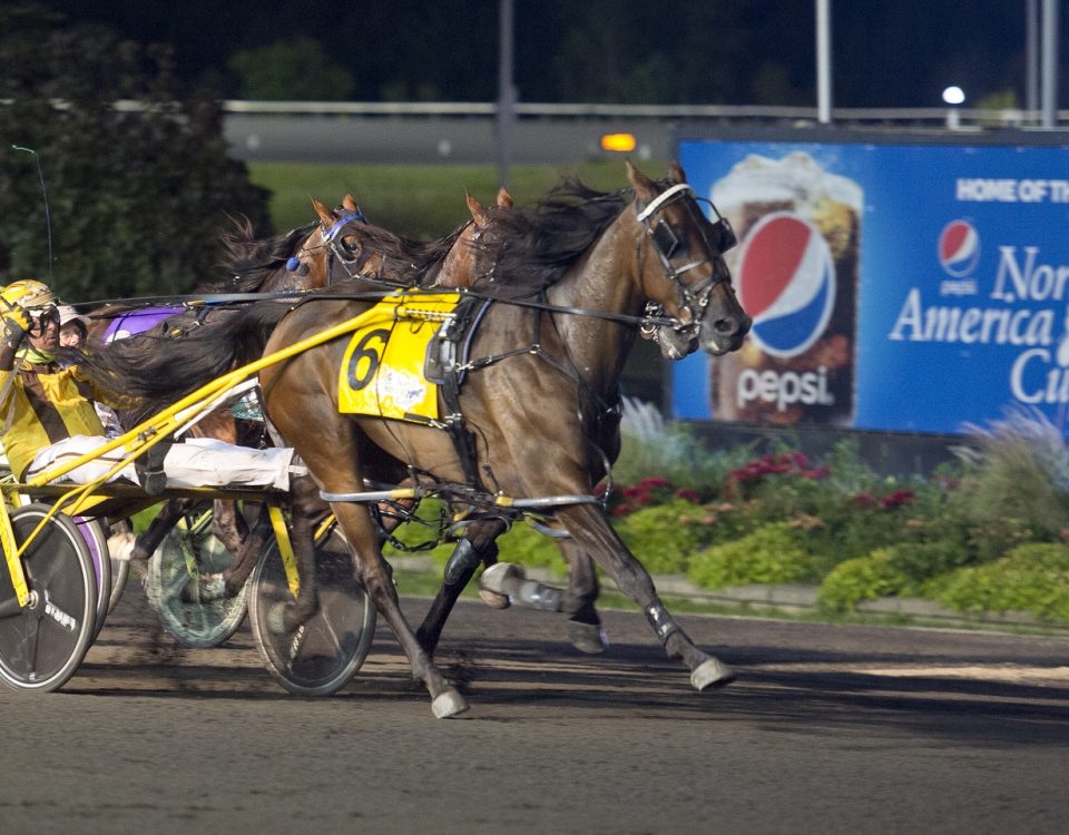 Woodbine Mohawk Park - Woodbine Mohawk Park - Michael Burns Photo