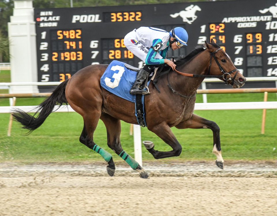 Book'em Danno - Pasco Stakes - Credit: SV Photography