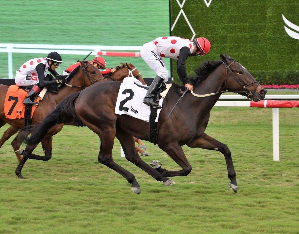 Forever Souper - Sunshine Turf Stakes - Coglianese Photo
