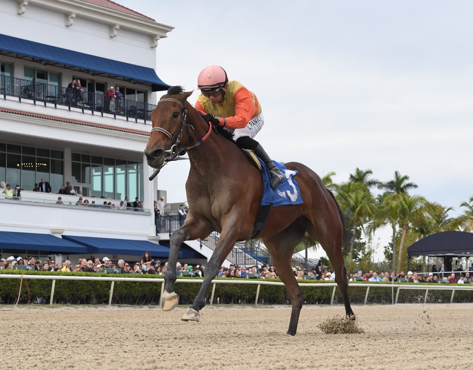 Maryquitecontrary - Gulfstream Park - Adam Coglianese