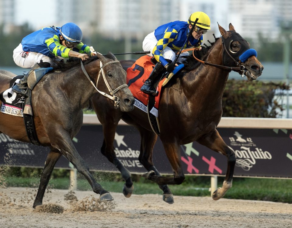 National Treasure - Pegasus World Cup Invitational - Barbara Livingston