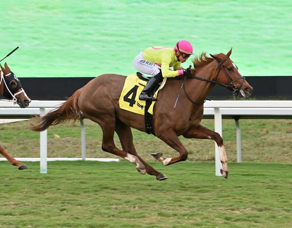 Sweet Dani Girl the Sunshine Filly Mare Turf credit Lauren King - Coglianese Photo