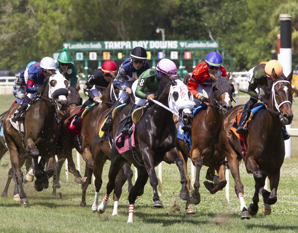 Tampa Bay Downs - foto crédito Tom Keiser