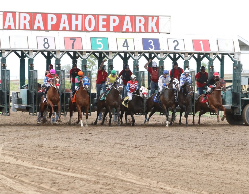 Arapahoe Park - Coady Photography