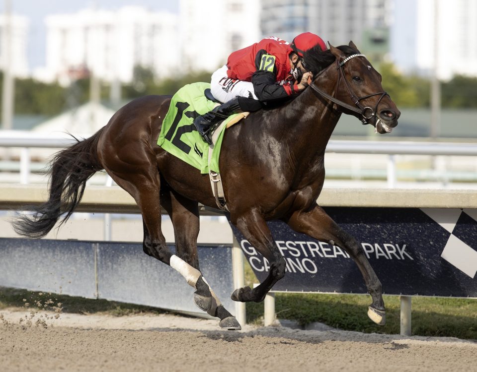 Candy Man Rocket - Barbara Livingston - Daily Racing Form