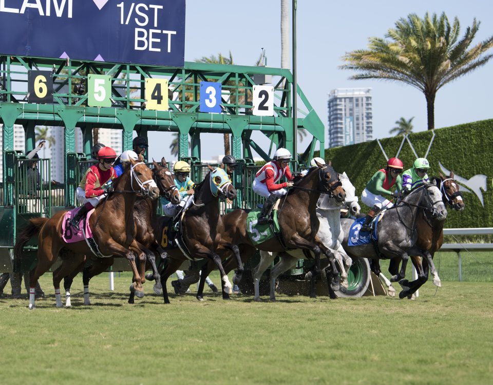 Gulfstream Park secenics - Ryan Thompson - Coaglianese Photo