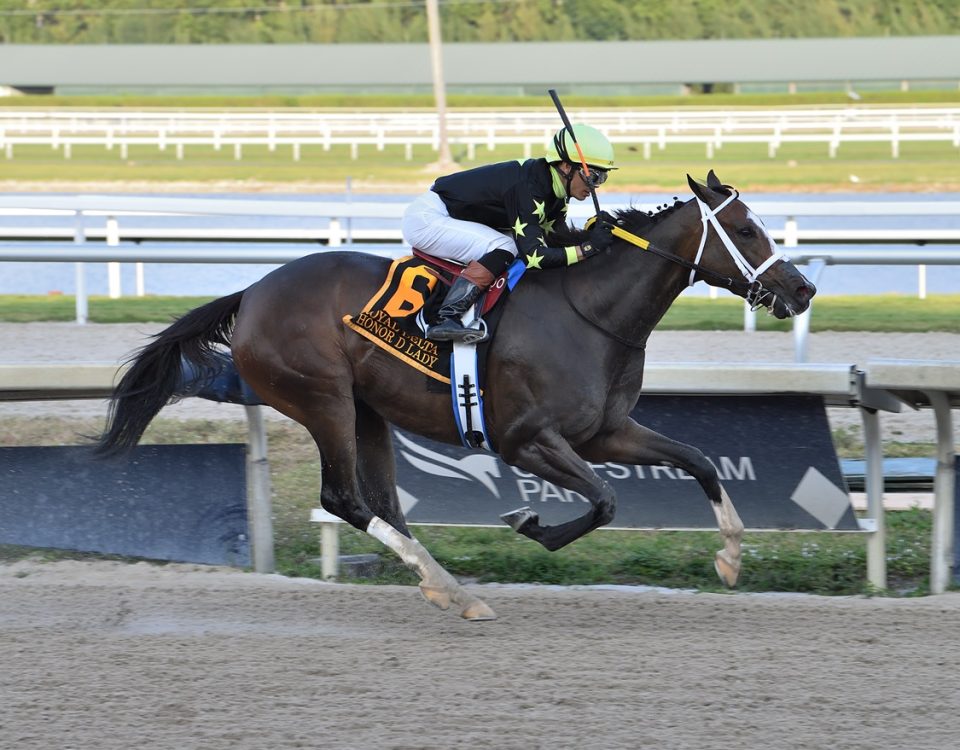 Honor D Lady - Royal Delta S. - Lauren King