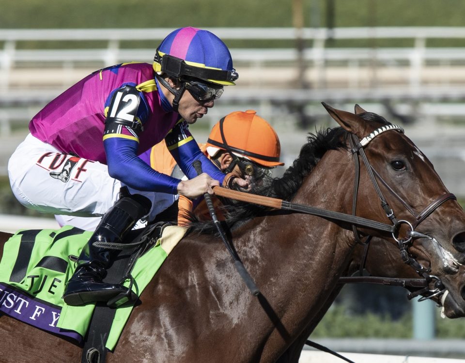 Just F Y I - Justin Lane - Daily Racing Form