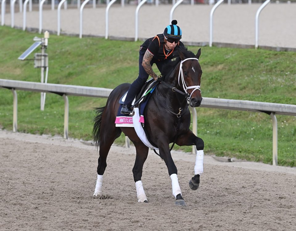 Nimitz Class - Ryan Thompson - Coglianese Photo