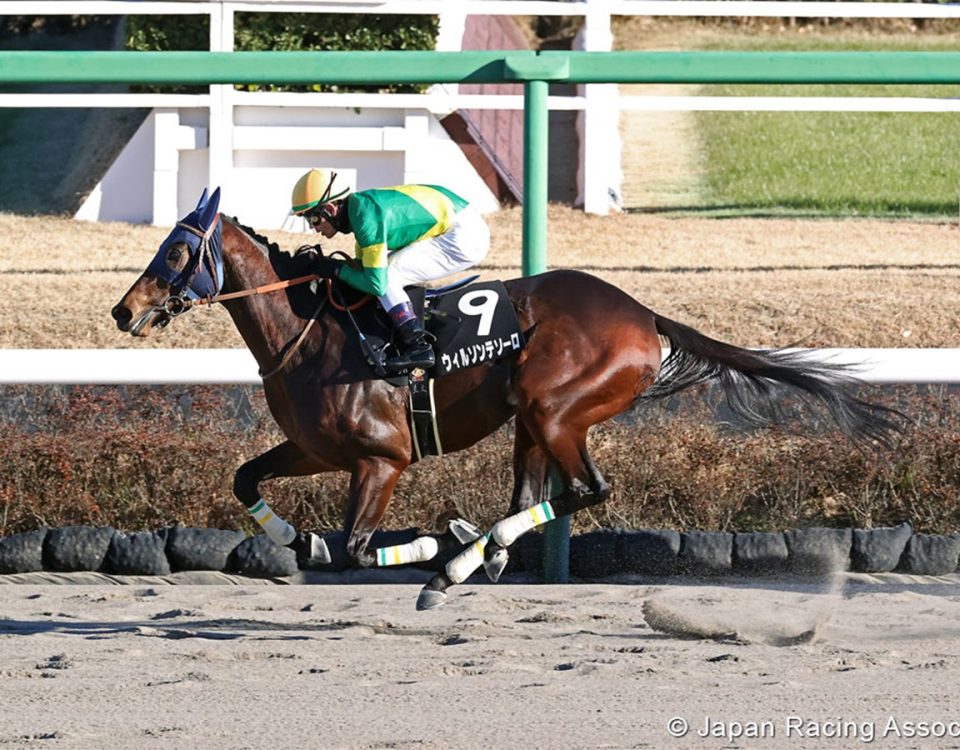 Wilson Tesoro - Japan Racing Association