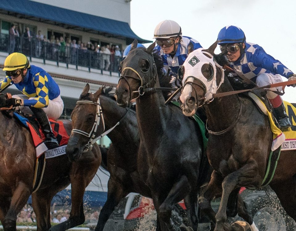 Action - Gulfstream Park - Barbara D. Livingston