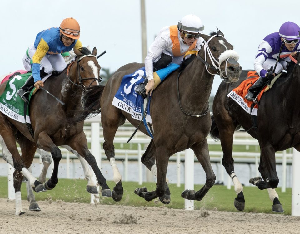 Gulfstream Park - Action - Barbara D. Livingston