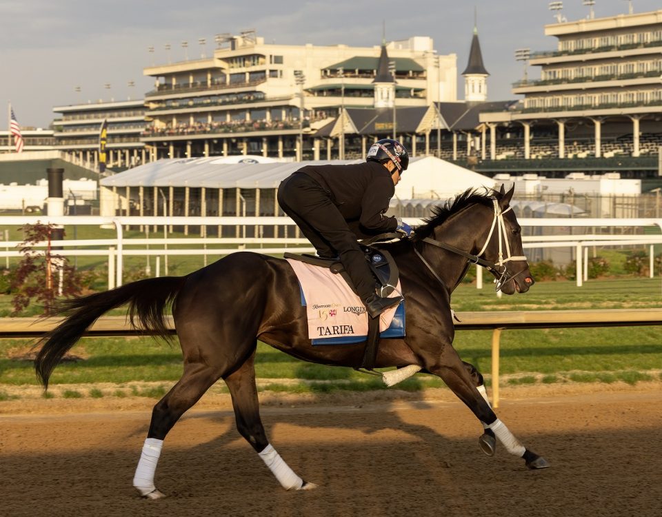 Tarifa - Debbie Roma - Daily Racing Form