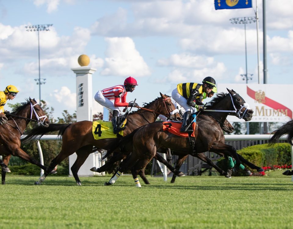 Woodbine - Action - Julie Wright