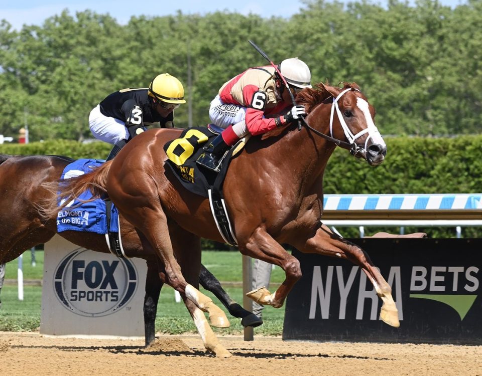 Antiquarian - Peter Pan S. - Coglianese Photo