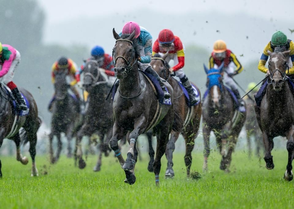 Blow the Horn - Takarazuka Kinen G1 - Japan Racing Association