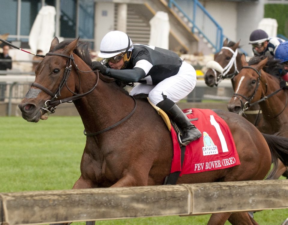Fev Rover - Woodbine - Michael Burns