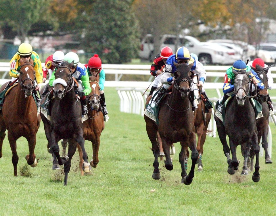 Keeneland - Turf Racing - Coady Media