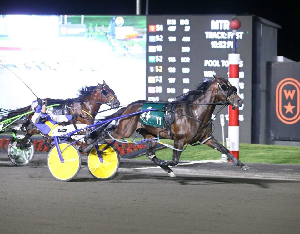 Nijinsky - Pepsi NA Cup - Foto Mohawk