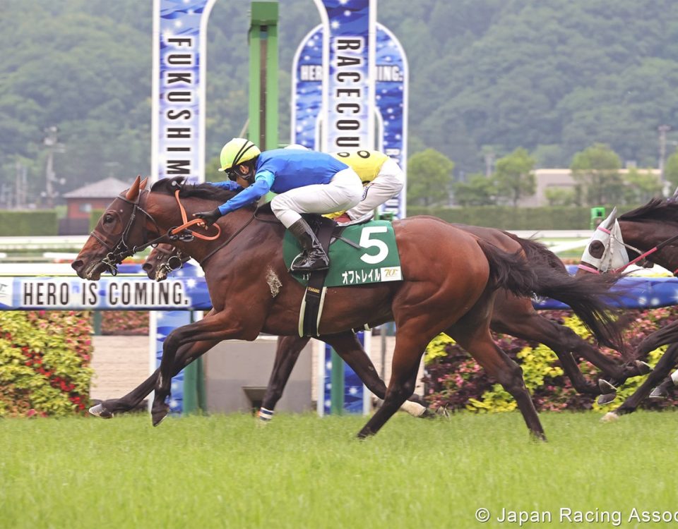 Off Trail - Japan Racing Association