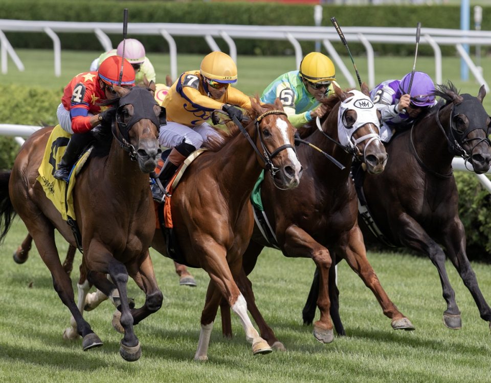 Twenty Six Black - Saratoga - DRF Barbara Livingston