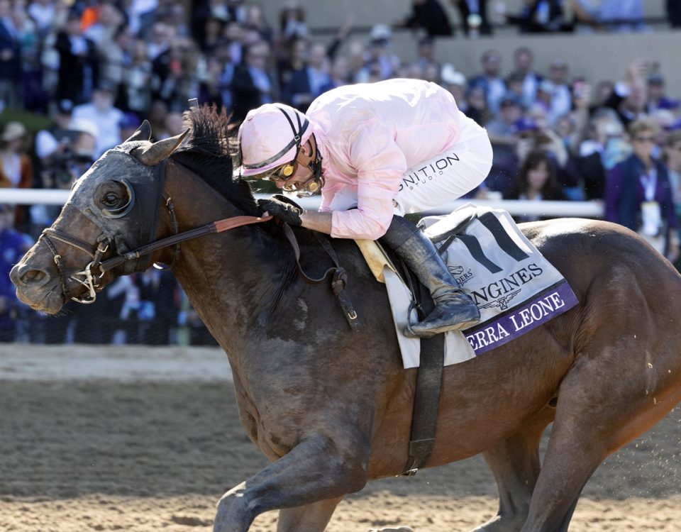 Sierra Leone - Breeders' Cup Classic - Debra A. Roma