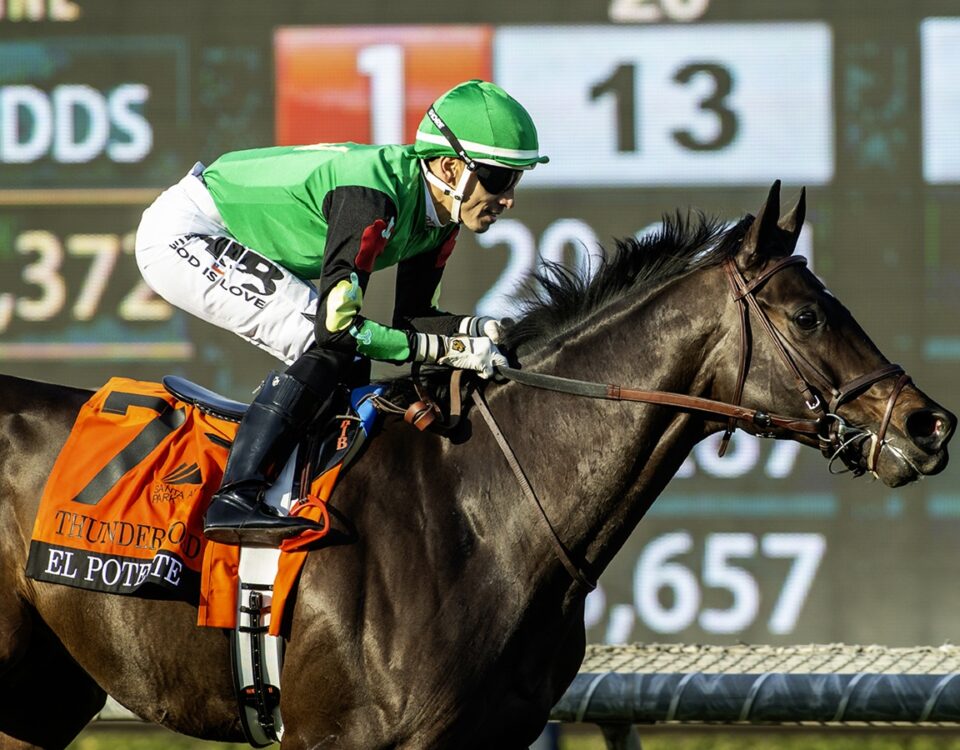 El Potente - Thunder Road Stakes G3T - Benoit Photo