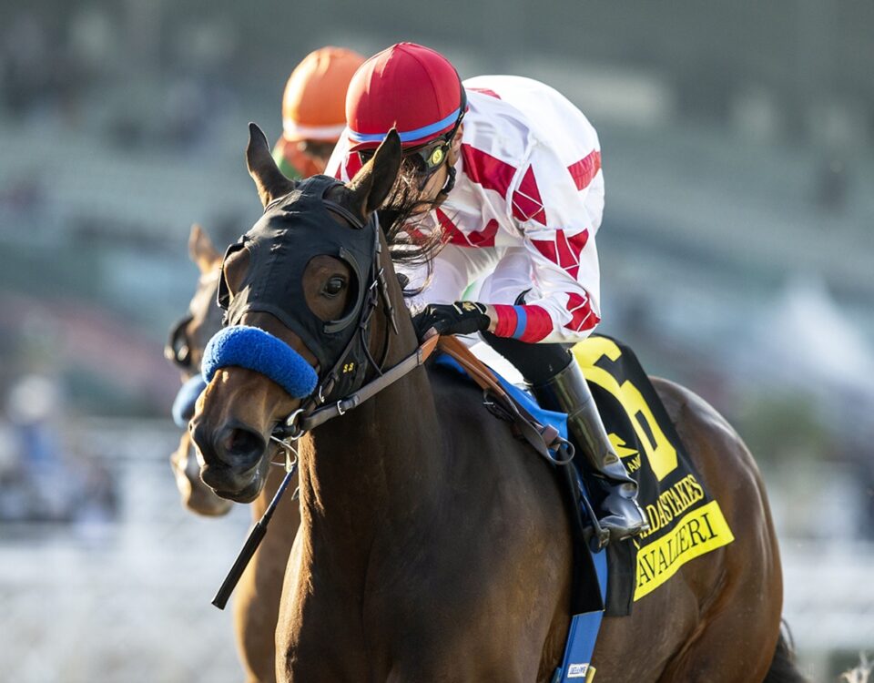 Cavalieri - La Canada Stakes - Benoit Photo