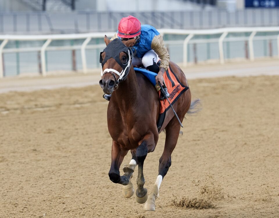 Flood the Zone - Gotham G3 - Coglianese Photo