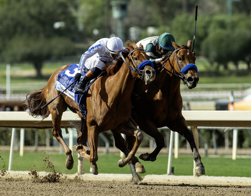 Maysam - Santa Ysabel Stakes - Benoit Photo