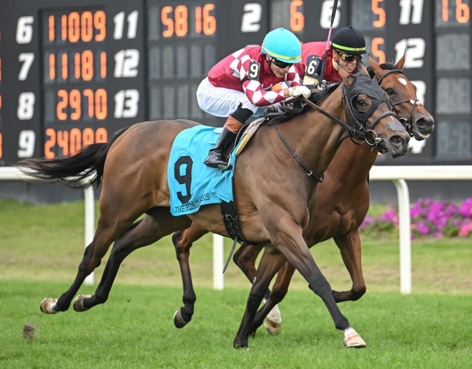 Nitrogen - SV Photography - Tampa Bay Downs