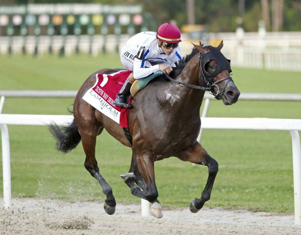 Owen Almighty - Tom Keyser - Daily Racing Form