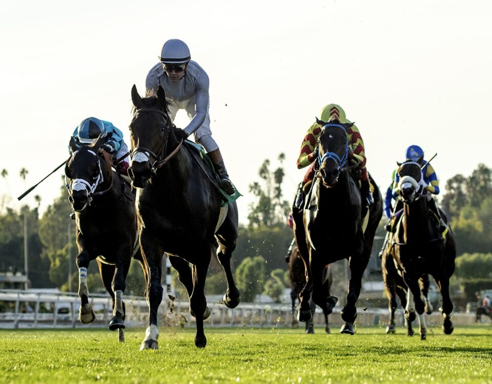 Santa Anita Scenic - Benoit Photo