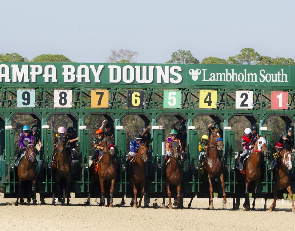 Tampa Bay Downs - Foto Tom Keyser - Daily Racing Form