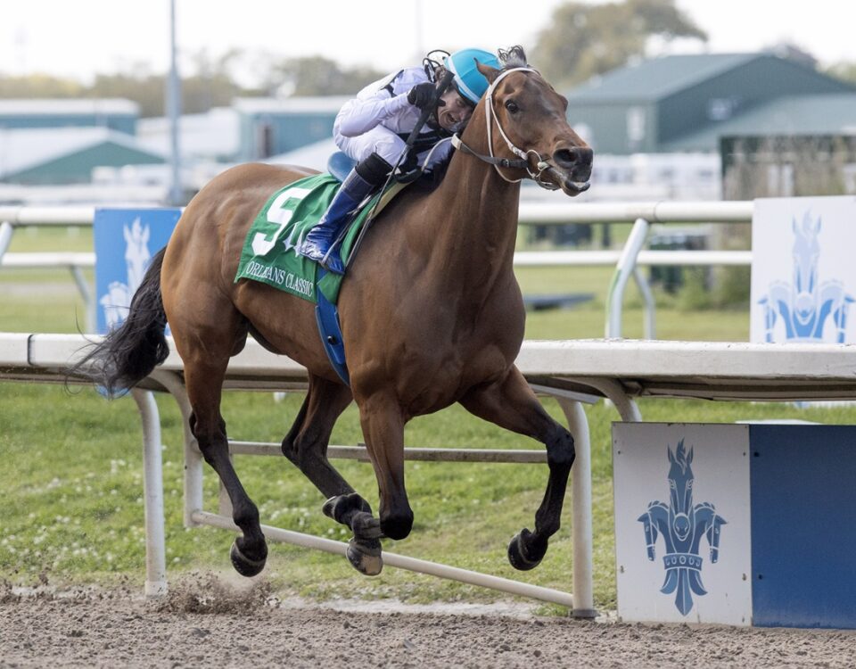 Touchuponastar - New Orleans Classic - Barbara D. Livingston - Daily Racing Form