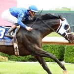First Mission - Oaklawn Handicap G2 - Coady Media