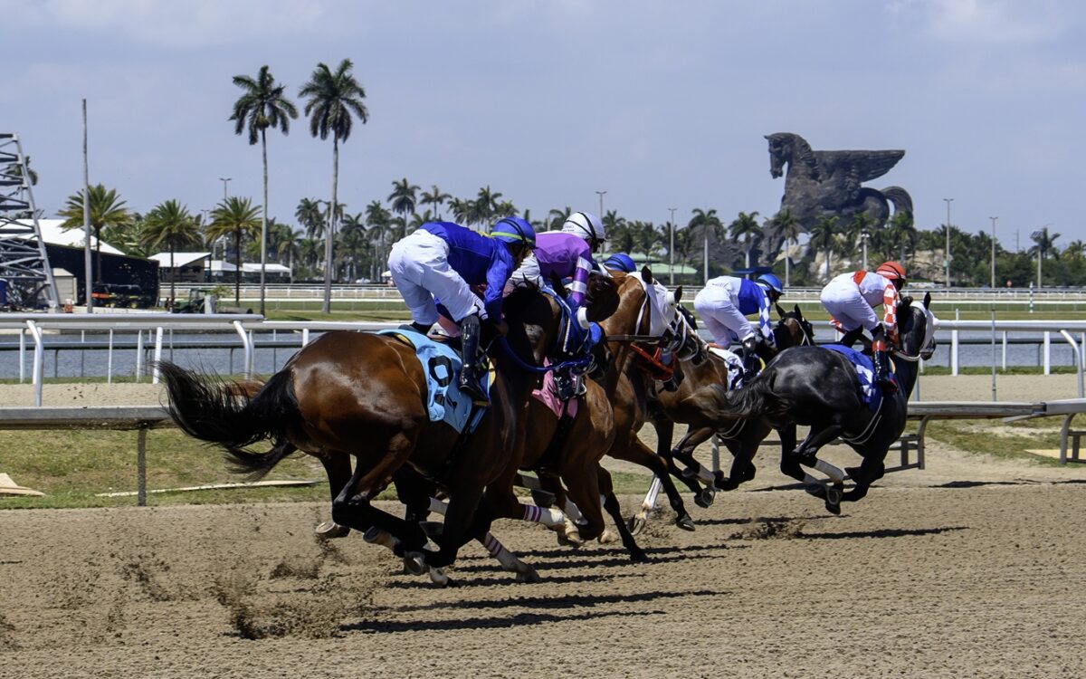 Gulfstream scenic - Ryan Thompson Coglianese Photo