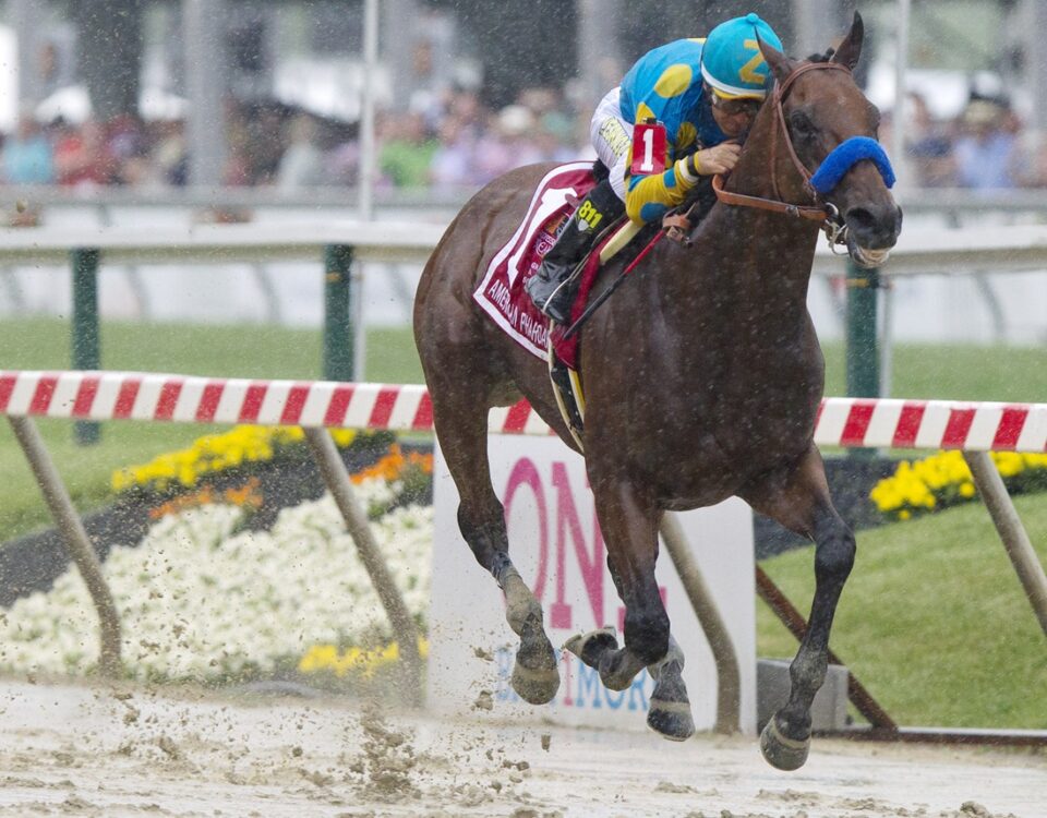 American Pharoah - Preakness Stakes - Barbara D. Livingston - Daily Racing Form
