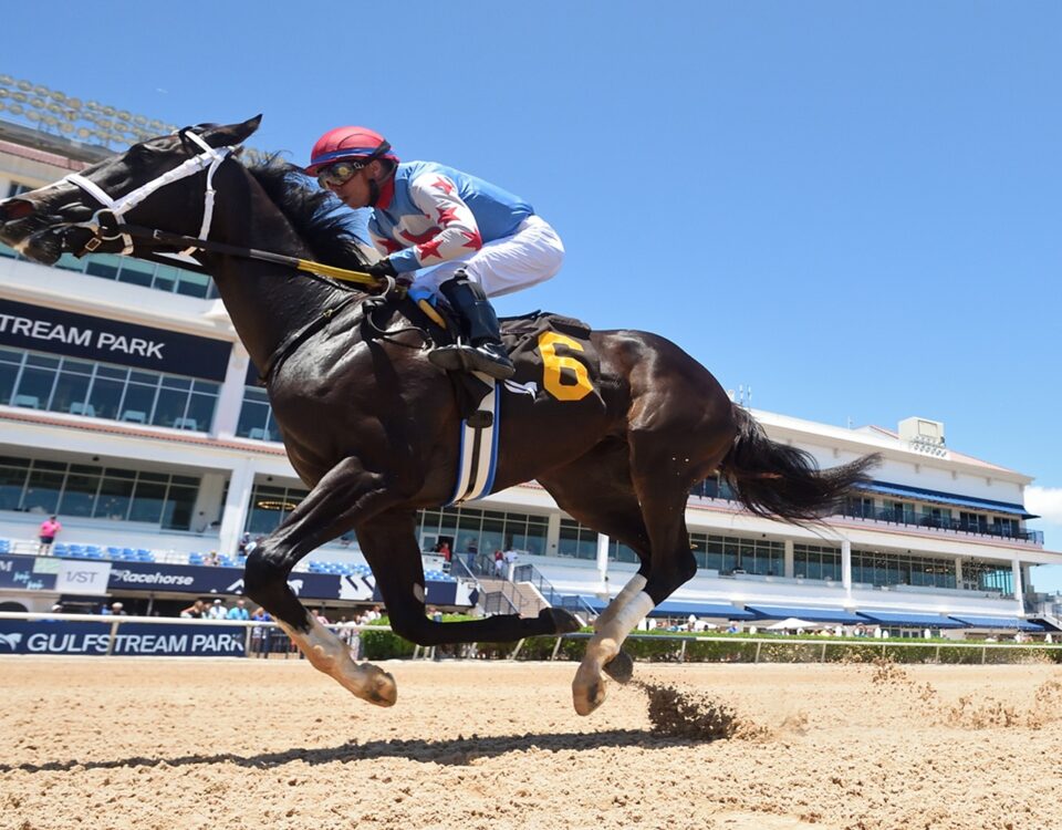 Andrea - Ryan Thompson - Coglianese Photo